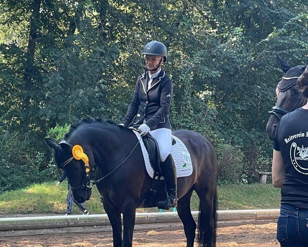 broodmare Phelicia W WE (German Riding Pony, 2017, from Cosmopolitan NRW)