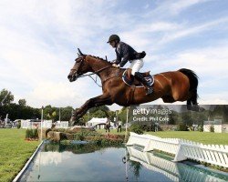 broodmare Equipharma Tekila D (Belgian Warmblood, 1996, from Gotspe)