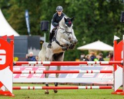jumper Clyde 86 (Holsteiner, 2012, from Clarimo Ask)