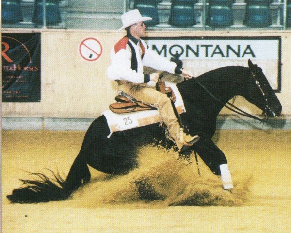 Pferd Crimson Catalyst (Quarter Horse, 1994, von Taris Catalyst)