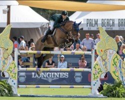 broodmare Magnolia Mystic Rose (Brazilian horse, 2009, from Zirocco Blue)