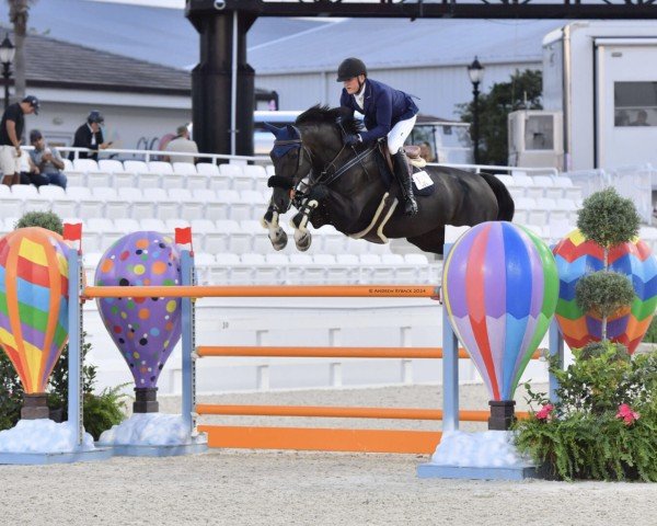 jumper Zilouet Mystic Rose (Brazilian horse, 2013, from Balou du Rouet)