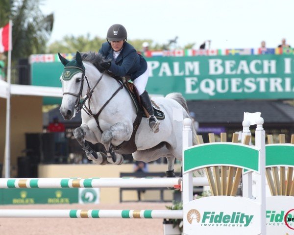 jumper Dorothy Mystic Rose (Brazilian horse, 2007, from VDL Cardento 933)
