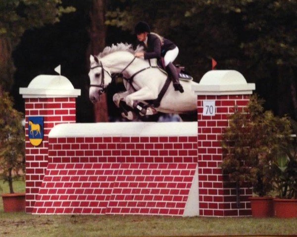 jumper Terrible Power CTL (Holsteiner, 2003, from Carano)