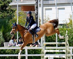 jumper Fireball van Overis (anglo european sporthorse, 2015, from Flying Dream)