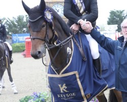 jumper Greenacres Vanquish (anglo european sporthorse, 2012, from van Gogh)