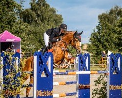 jumper Carmina Z (Zangersheide riding horse, 2011, from Crown Z)