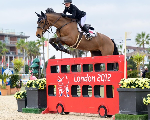 jumper Rhapsody FG (Belgian Warmblood, 2017, from Gfe Jilbert van't Ruytershof)