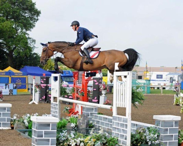 jumper La Cawarra (Swedish Warmblood, 2005, from Last Liberty)