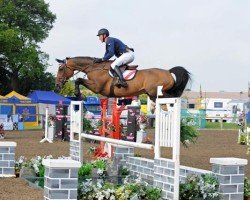 jumper La Cawarra (Swedish Warmblood, 2005, from Last Liberty)