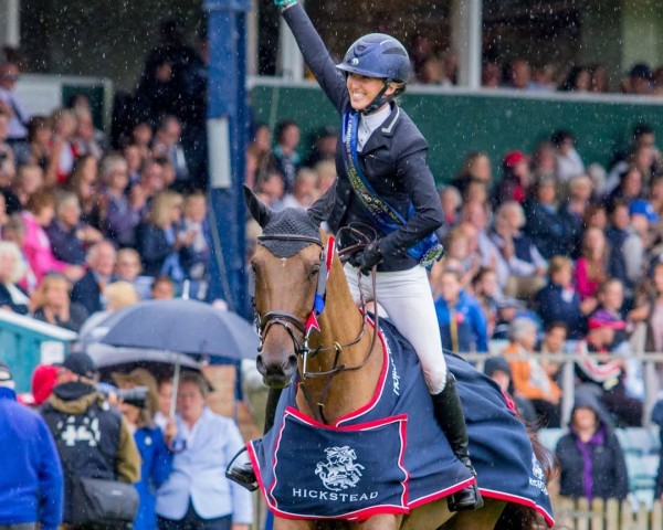Springpferd Galway Bay Jed (Anglo Europäisches Sportpferd, 2008, von Romanov)