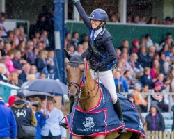 jumper Galway Bay Jed (anglo european sporthorse, 2008, from Romanov)