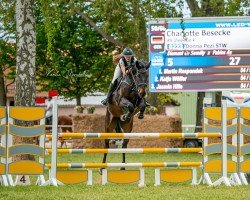 jumper Donna Pezi STW (Westphalian, 2019, from Diamant de Semilly)