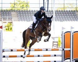 broodmare Nugonda (KWPN (Royal Dutch Sporthorse), 2018, from Kannan)