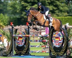 jumper Falstaff (Holsteiner, 2016, from Kannan)