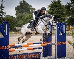 jumper Chimansky (Westphalian, 2018, from Cascavelle NT)