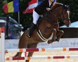 jumper Arabesque Bs (German Sport Horse, 2018, from Comme le père)