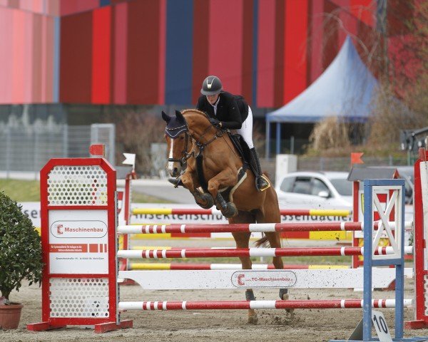 broodmare Geany Whisper (Hanoverian, 2013, from Gavi)
