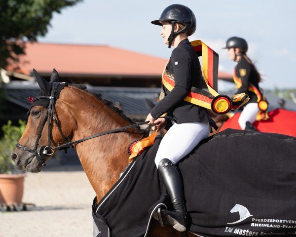 jumper Loudovica (Hanoverian, 2015, from Ludwig von Bayern 168 FIN)