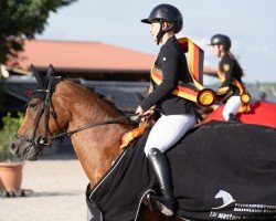 jumper Loudovica (Hanoverian, 2015, from Ludwig von Bayern 168 FIN)