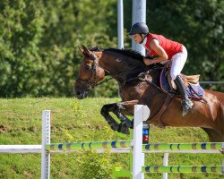 broodmare Quiama CH (Swiss Warmblood, 2003, from Reichsgraf)