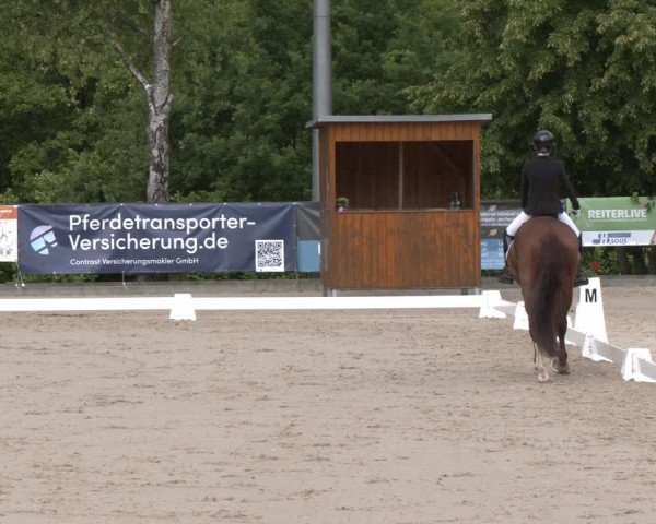 Reitturnier Erkrath - Uhlenhof 2025