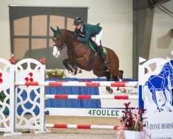 jumper Tamagotchi (German Sport Horse, 2014, from Tinka's Boy)