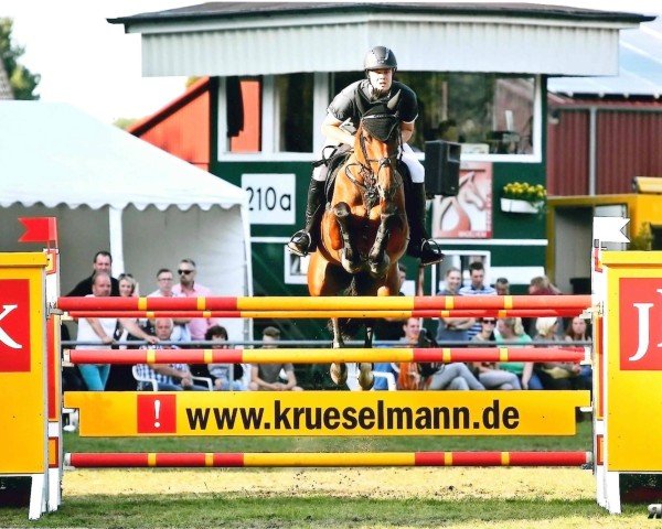 jumper Call Her Coco (Westphalian, 2007, from Clintop 2)