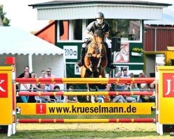 jumper Call Her Coco (Westphalian, 2007, from Clintop 2)