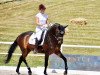 dressage horse Lucado Jo (German Sport Horse, 2016, from Lord Leopold 7)