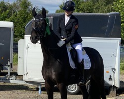 dressage horse For You 69 (Westphalian, 2017, from For Romance II)