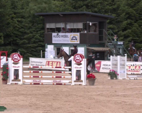 Reitturnier Ranshofen - Braunau am Inn 2025