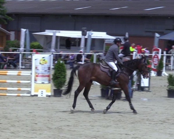 Reitturnier Ostenfelde-Vornholz 2025