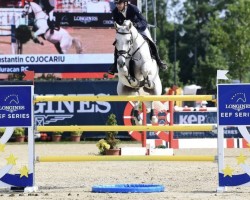 jumper Huracan Rc (Oldenburg show jumper, 2011, from Cortez 49)