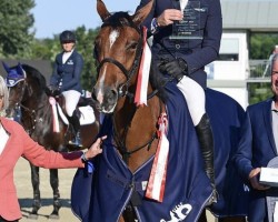 jumper Follow Me For Pleasure (German Sport Horse, 2018, from Feuerball 78)