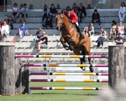 jumper Handyman (KWPN (Royal Dutch Sporthorse), 2012, from Falaise de Muze)