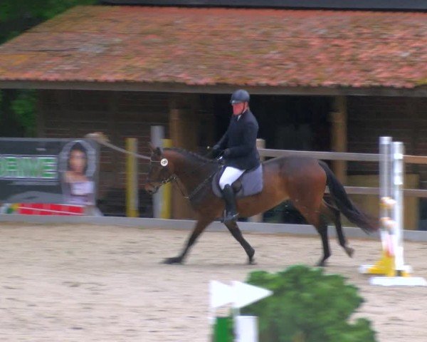 Reitturnier Alvern 2025