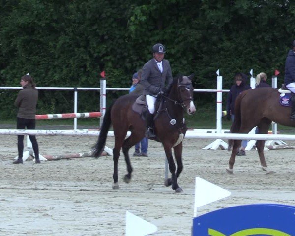Reitturnier Ostenfelde-Vornholz 2025