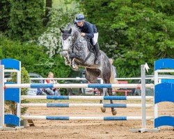 jumper Hulapalu 30 (Mecklenburg, 2018, from Hickstead White)