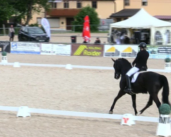 Reitturnier Mallersdorf-Pfaffenberg/Ndb. 2025
