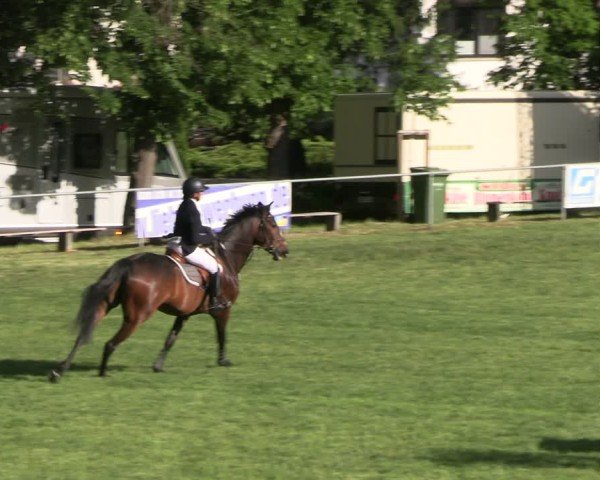 Reitturnier Königsborn 2025