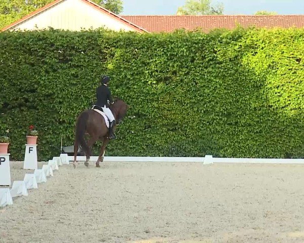 Reitturnier Notzing/Obb. 2025