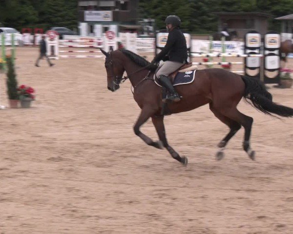 Reitturnier Ranshofen - Braunau am Inn 2025