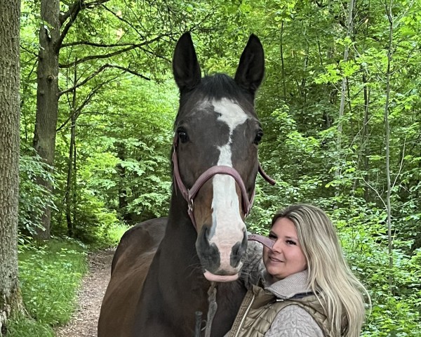 horse Santana 782 (Württemberger, 2003, from Sterntänzer)
