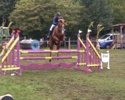 jumper Flummy 13 (German Riding Pony, 2008, from For Kids Only)