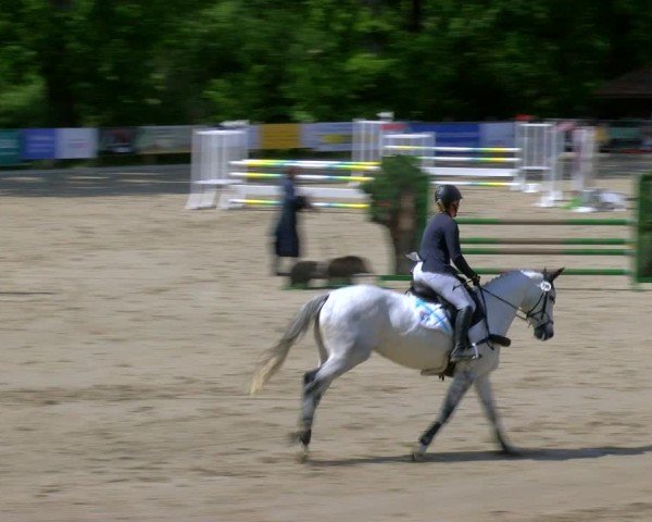 Reitturnier Alvern 2025