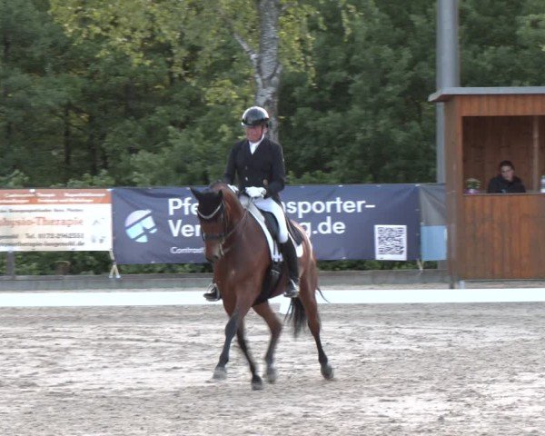 Reitturnier Erkrath - Uhlenhof 2025