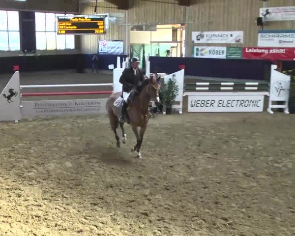 Hallenspringturnier Weilheim/Teck 2014