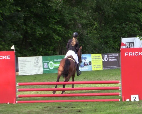 Reitturnier Zeven 2025