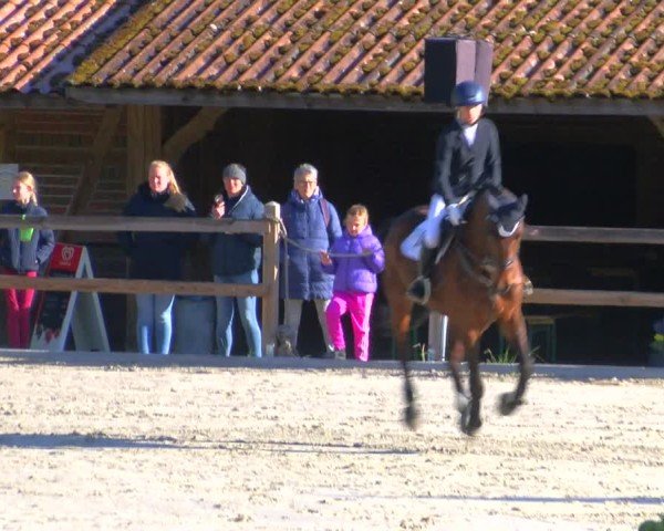 Reitturnier Alvern 2025